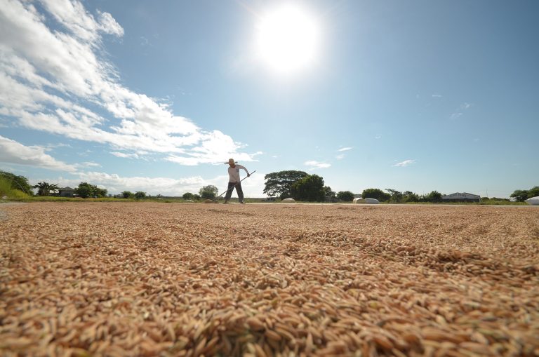 PH aims for full rice self-sufficiency by 2027 despite looming crisis