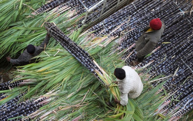 El Niño threatens PH sugar production with up to 15% drop